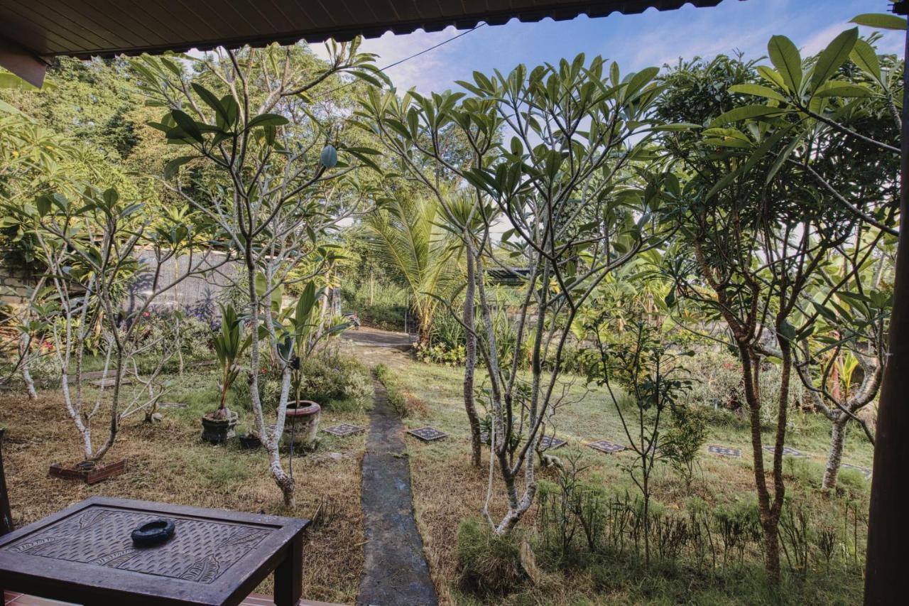 Hotel The Banana House Sakti Esterno foto